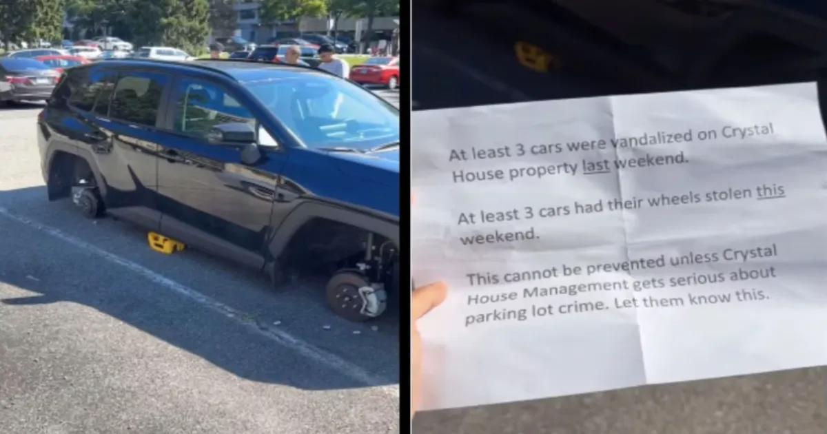 Indian Woman's US Post on Car Wheel Theft Goes Viral