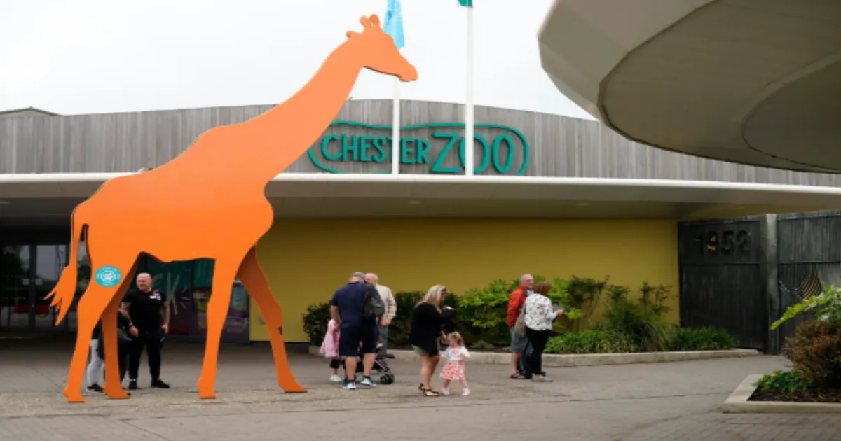 Chester Zoo Scrambles to Fix Awkwardly Worded Tour Listing