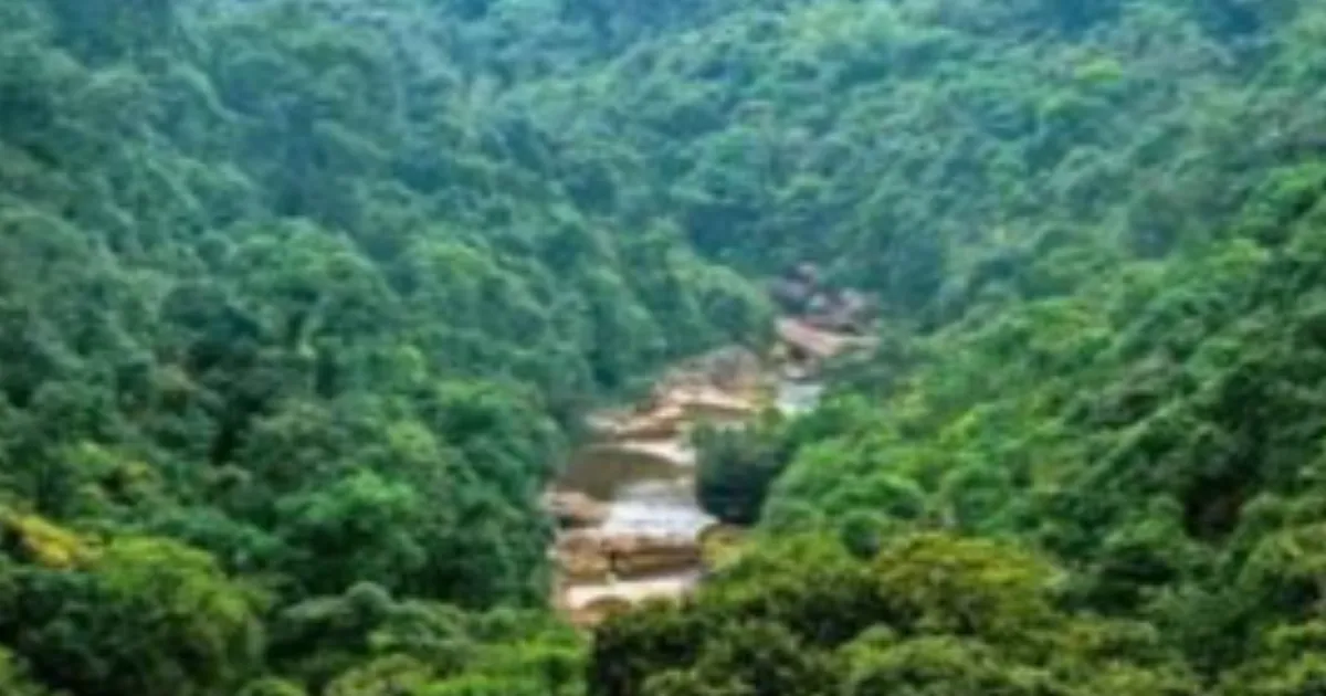 Indian Forest Service Completes 60 Years, India Ranks 9th Globally in Forest Area