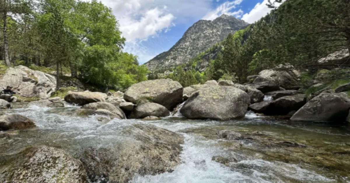 Spain Clears Invasive Minnows From Two Pyrenees Lakes and Native Wildlife Rebounds