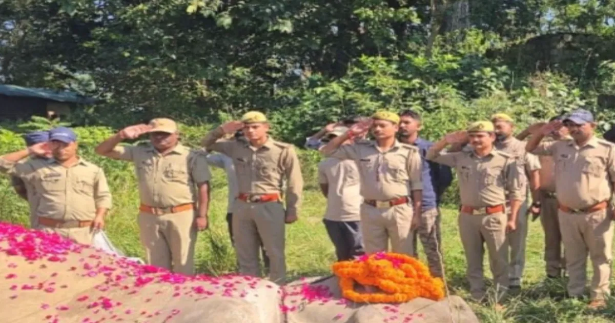 80-Year-Old Elephant Sonakali Dies at Corbett Tiger Reserve, Given Full State Honours