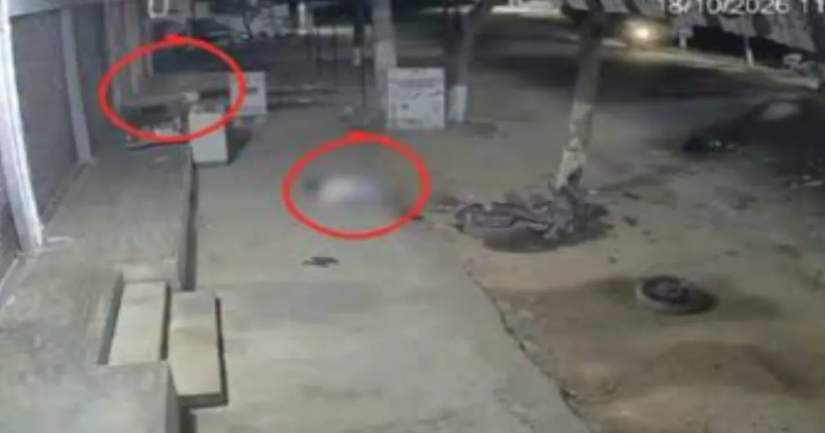 Two Men Killed After Speeding Bike Hits Tree Near Hyderabad