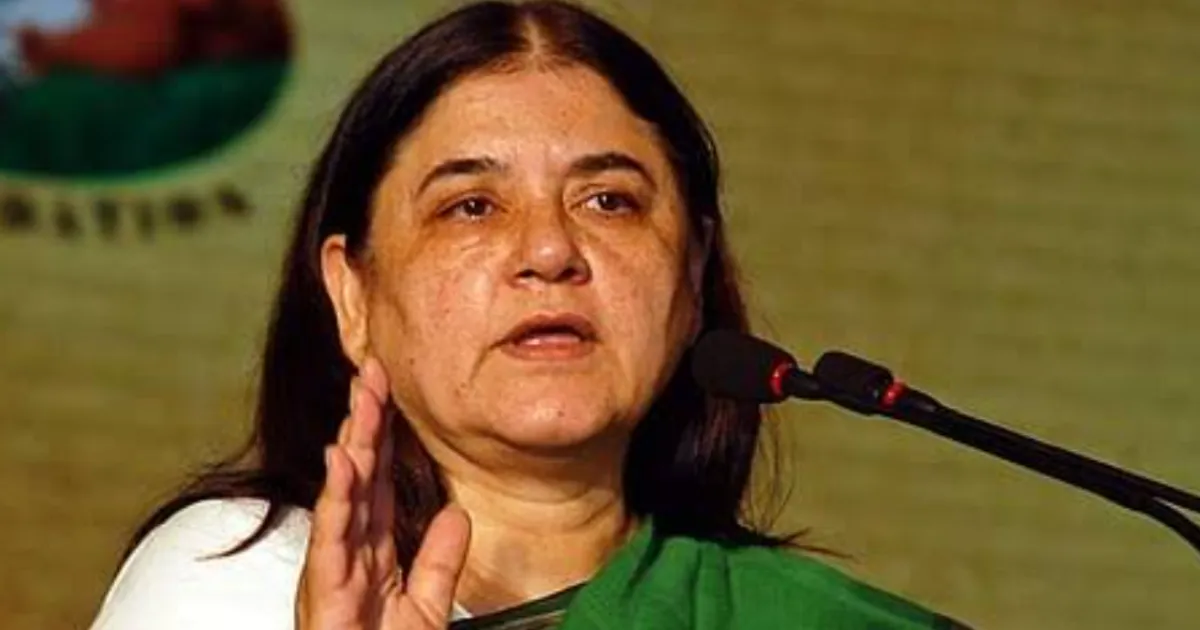 Maneka Gandhi Criticises Centre’s Draft Laboratory Animal Rules Over Eased Trial Approvals