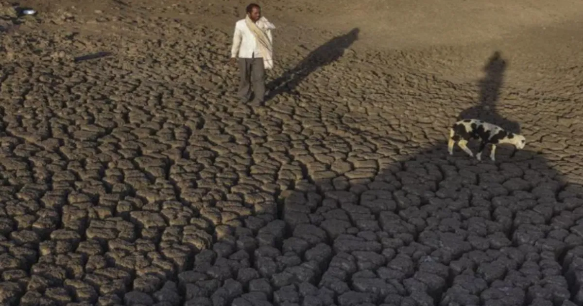 Rajasthan Declares 80 Tehsils in 14 Districts Drought-Hit