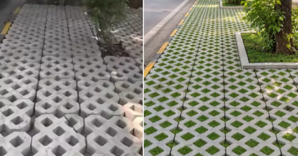 Holes in Delhi Footpath Pavers are Meant to Hold Soil and Grass, Users Say