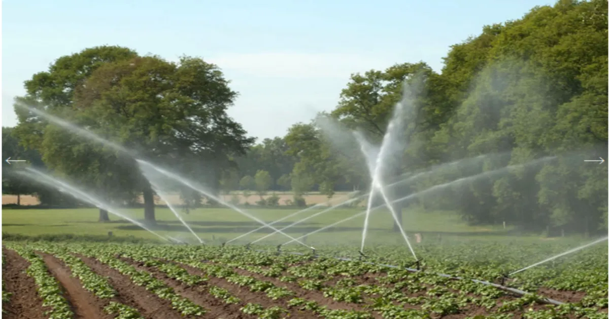 Rajasthan Boosts Farmer Irrigation Power: Dausa and Karauli Join 24-District Program
