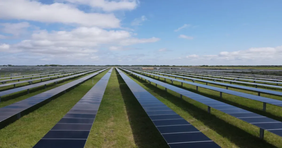 Micromax Forays into Renewable Energy Space