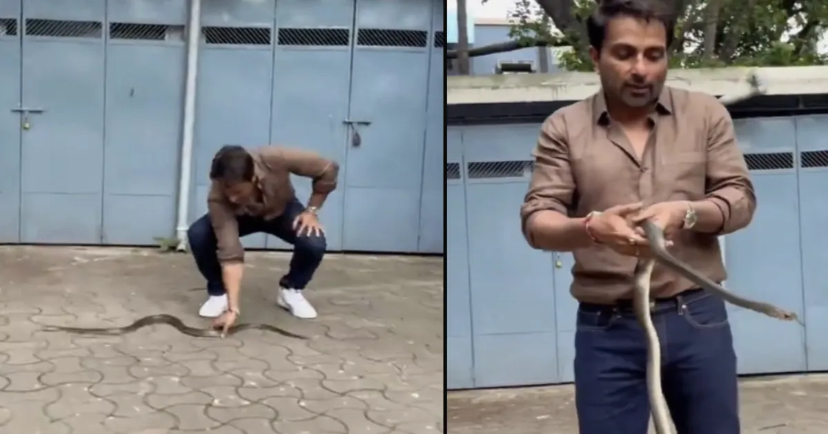 Don't Try This At Home! Sonu Sood Turns Snake Rescuer, Urges Fans to Leave It to the Pros