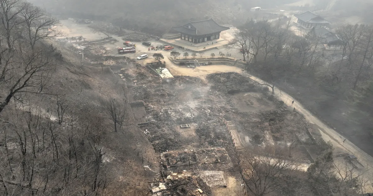 South Korea’s Inferno Tamed! Gyeongsang Wildfires Finally Contained