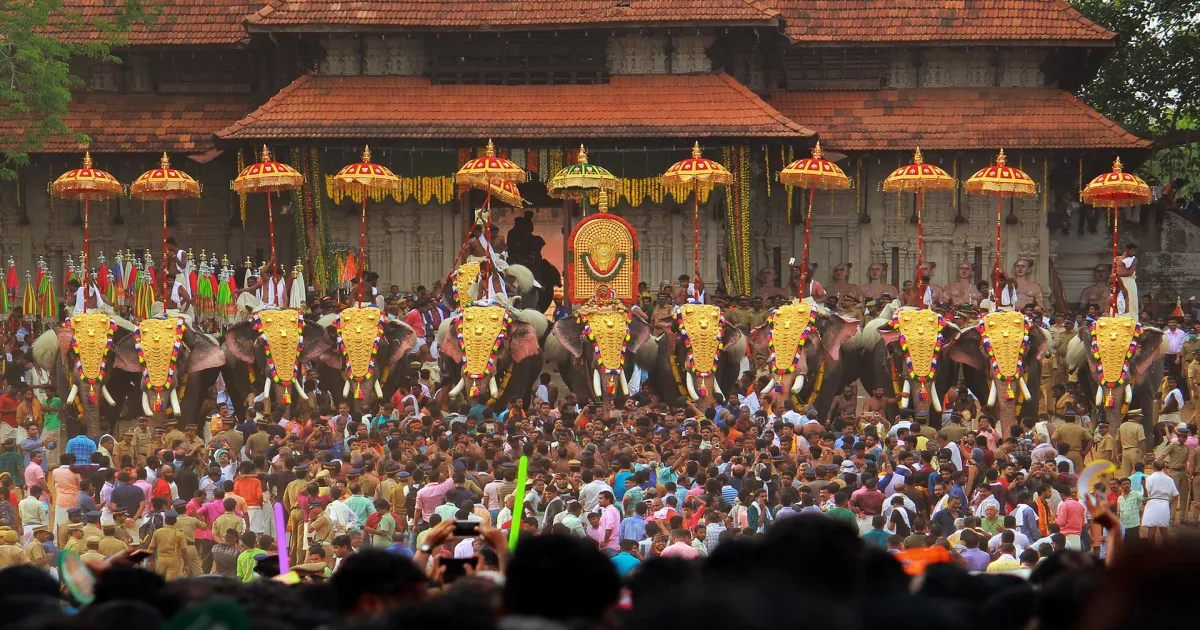 make-way-for-the-jumbos-thrissur-pooram-begins-may-6-ke