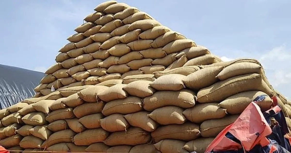 india-to-allow-export-of-broken-rice-ban-lifted-with-im