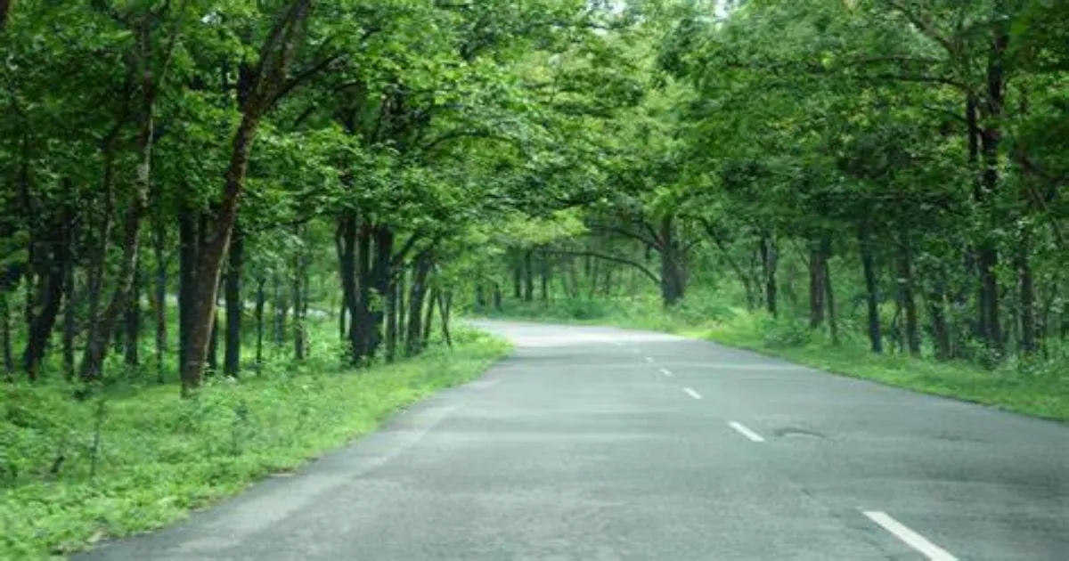 up-has-planted-210-crore-trees-cm-yogi-highlights-state