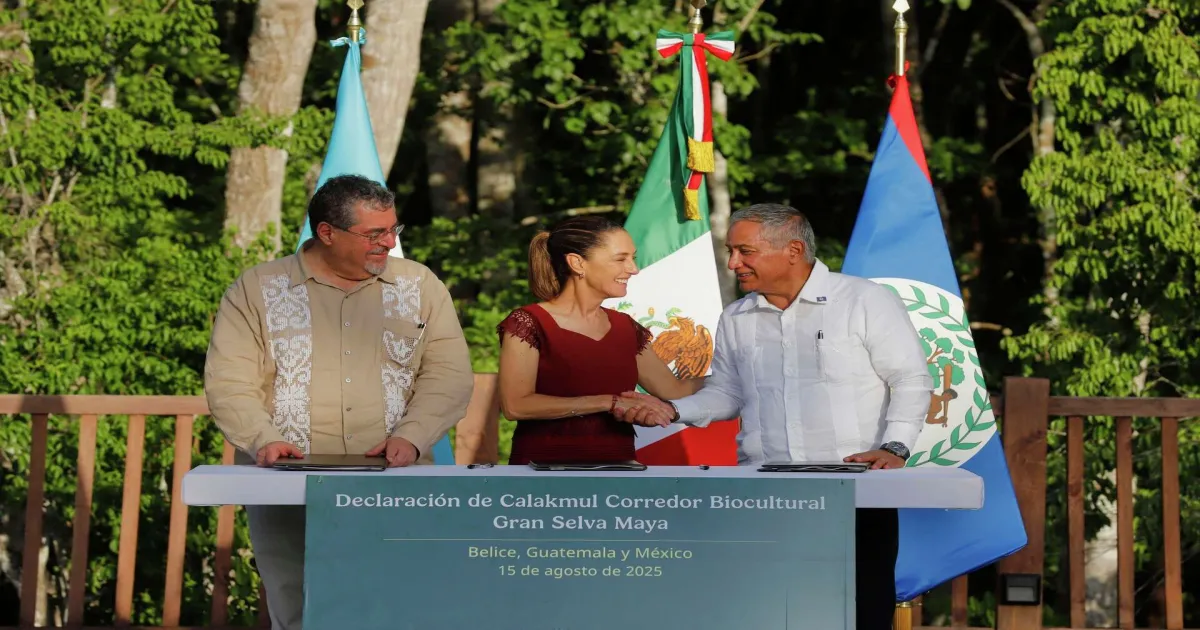 massive-maya-jungle-reserve-unveiled