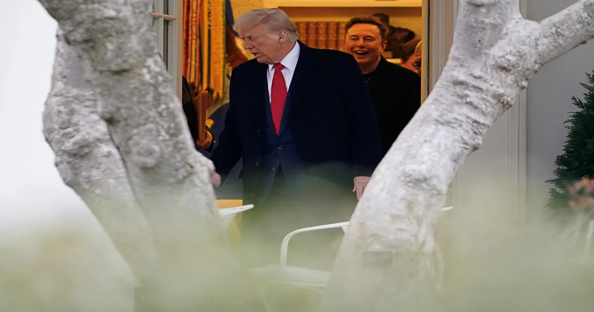 #BREAKING: Elon Musk Will Step Out of DOGE Soon! Donald Trump's Startling Update