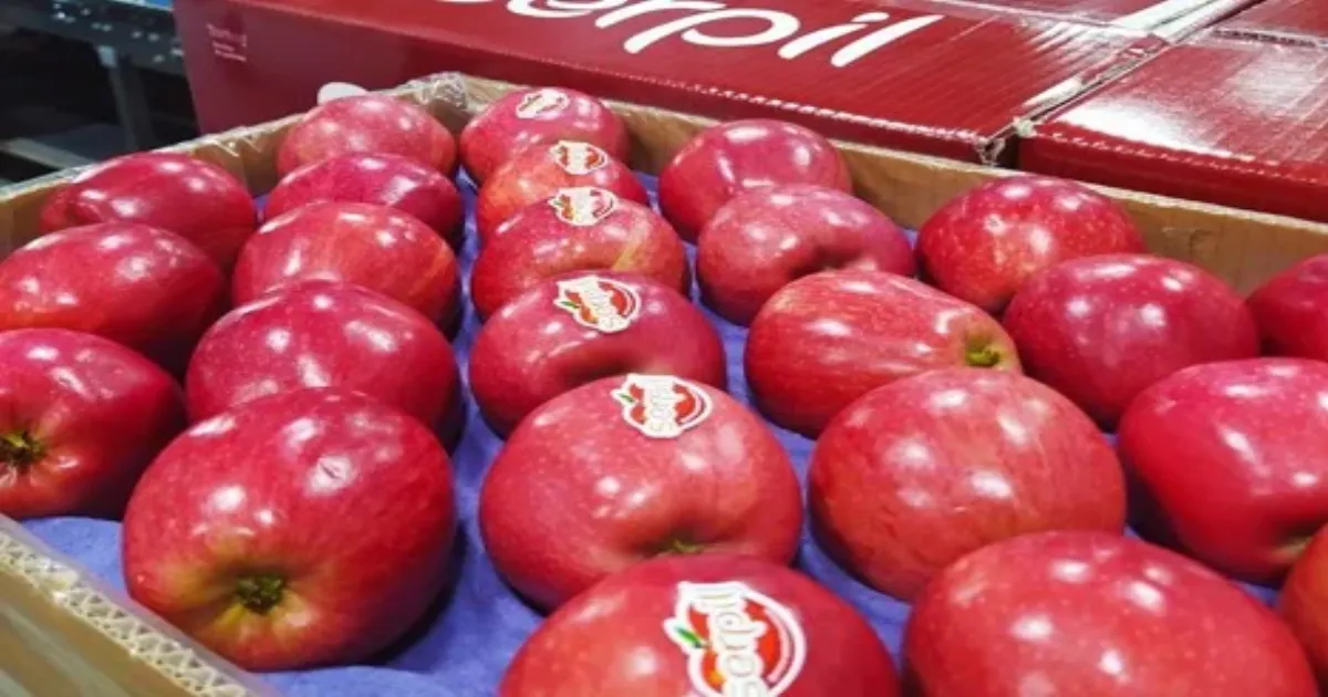 No More Turkey! Alwar Traders Ban Turkish Apples in Boycott Over Pakistan Support