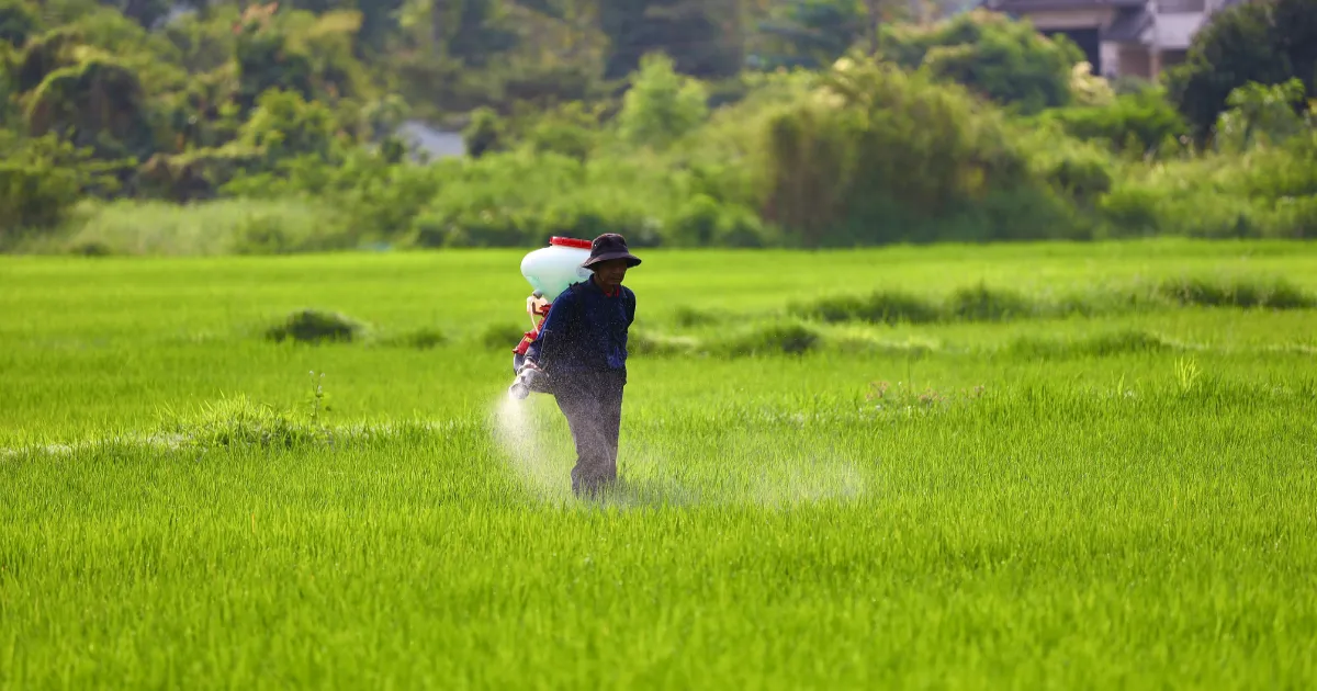 China’s Export Curbs Threaten India’s Fertiliser Supply