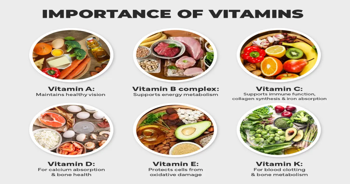your-guide-to-vitamins-a-k-sources-and-benefits