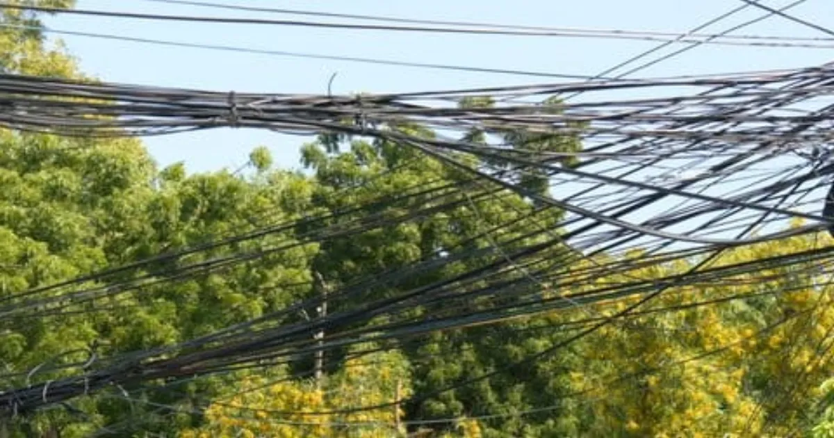 Delhi CM Rekha Gupta Unveils Game-Changing Project to Bury Power Lines in Shalimar Bagh!