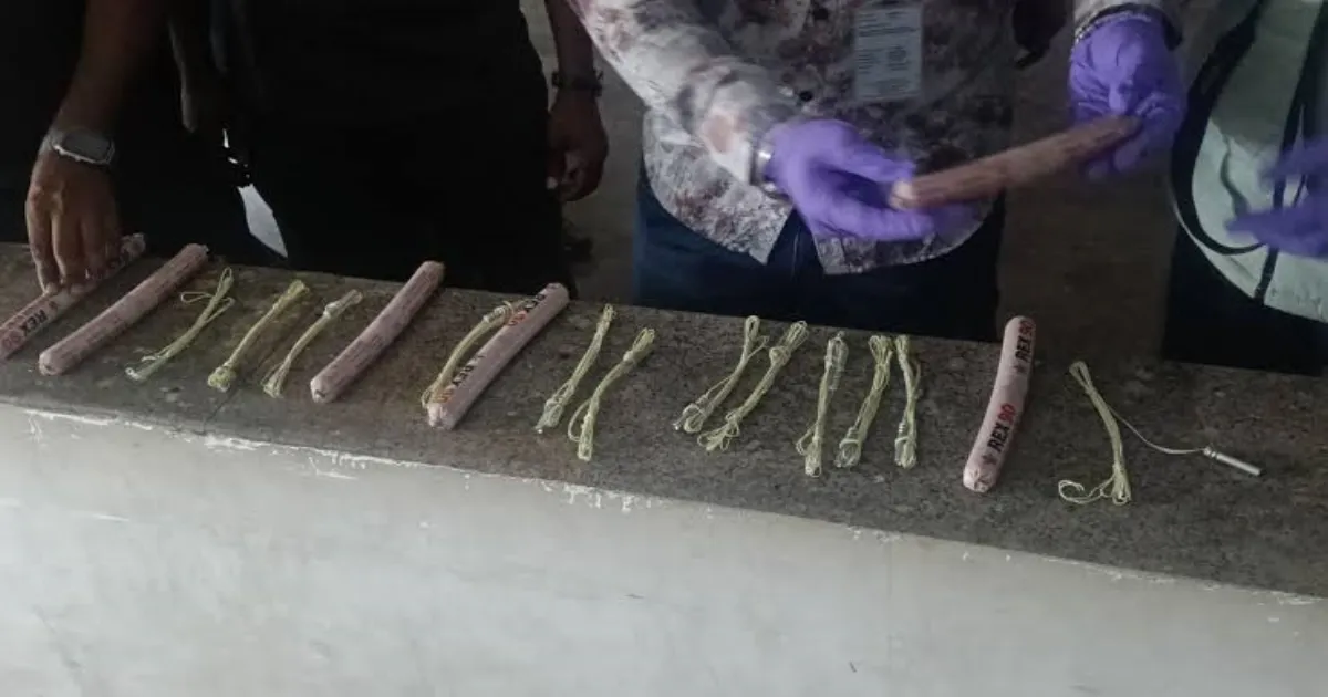 terror-scare-in-bengaluru-explosives-found-in-carry-bag