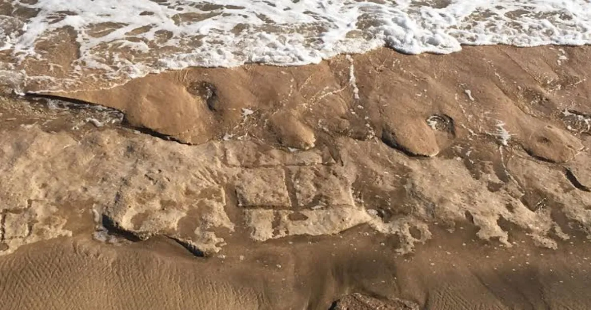 Hidden for Years, Mysterious Ancient Carvings Resurface on Hawaii Beach After Tides Shift