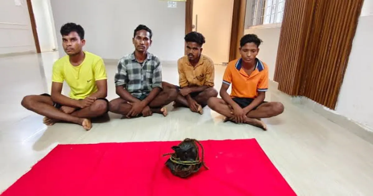 Four Naxalites Busted in Chhattisgarh’s Sukma for Deadly IED Plot!