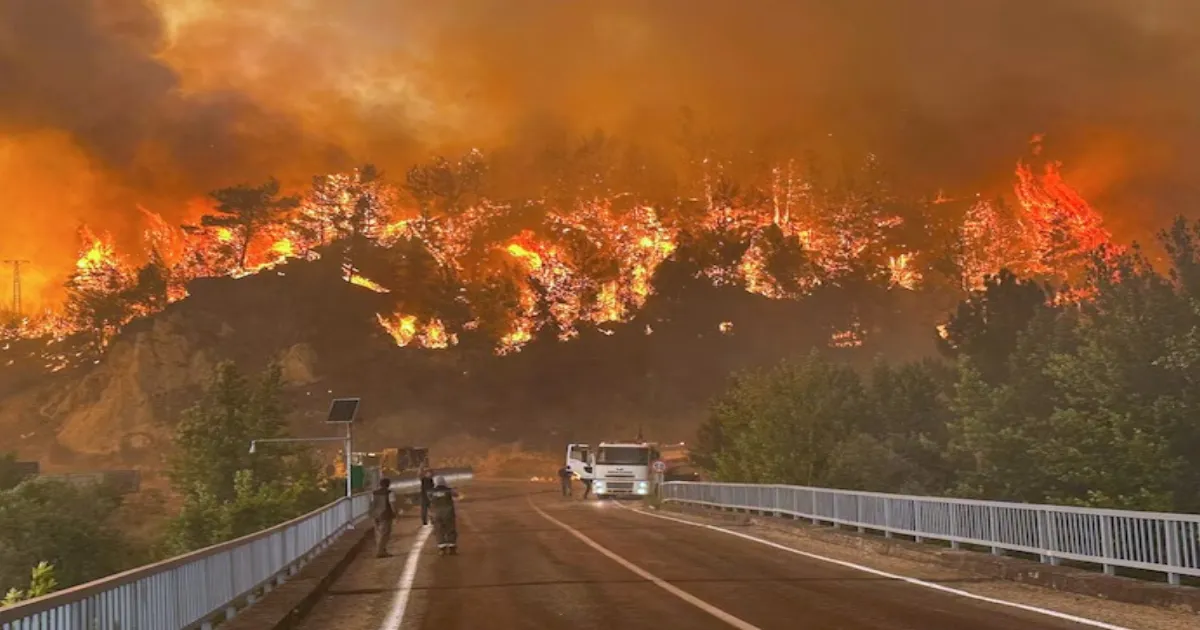 Wildfires Devastate Türkiye’s Mediterranean Coast, Prompting Disaster Declarations