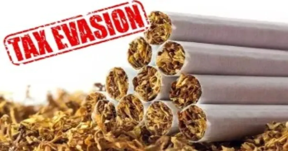 Monsoon Session: Govt Uncovers Rs 104.38 Crore Tobacco Tax Evasion in 2025