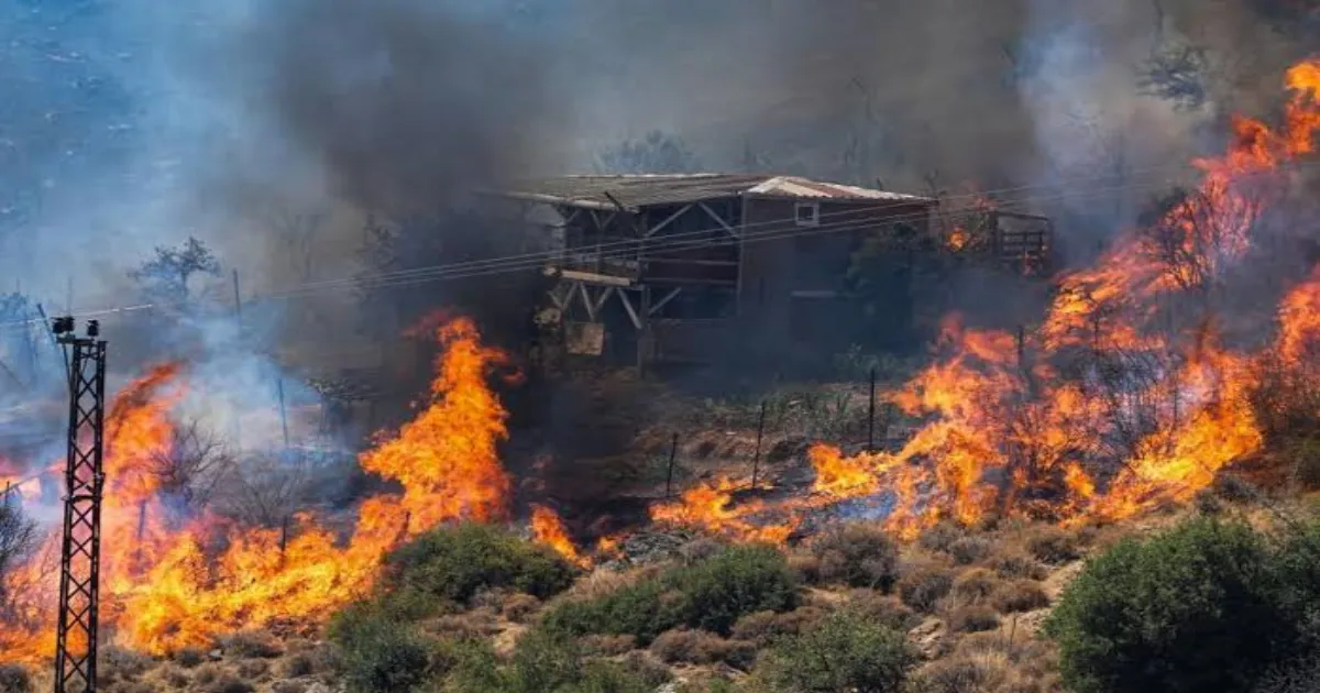 wildfires-force-mass-evacuations-as-turkiye-rec