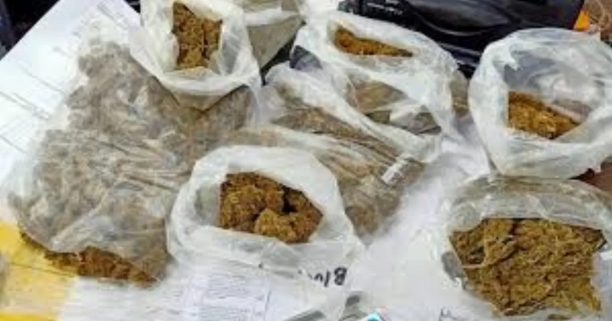 massive-121-kg-cannabis-haul-at-sealdah-station-8-arres