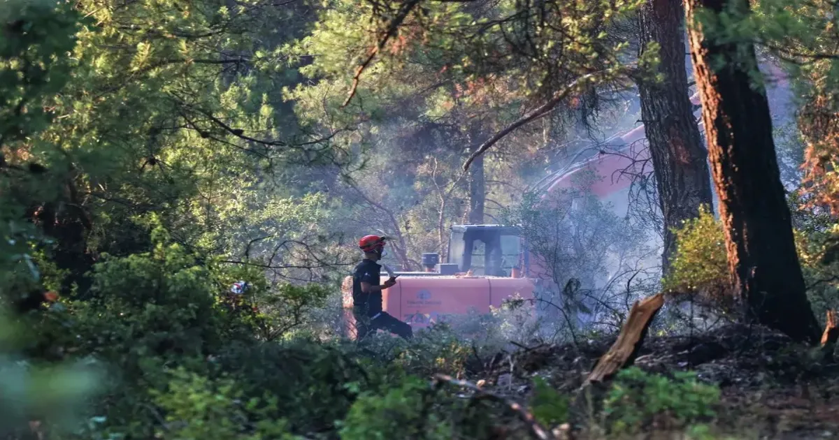 Turkiye’s Wildfires Claim 17 Lives