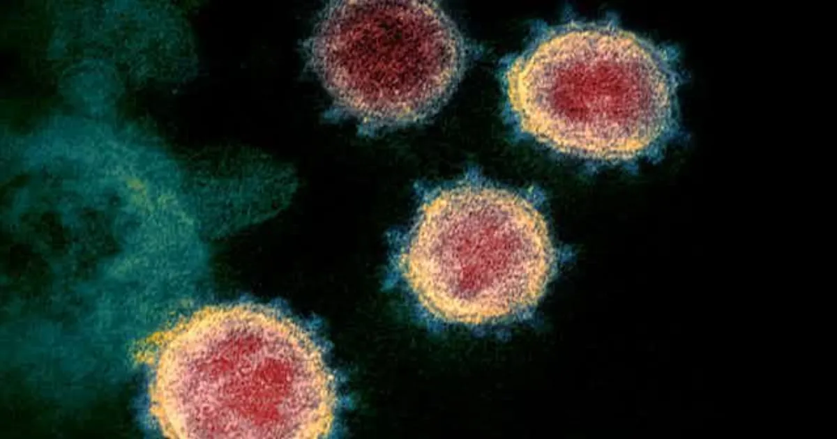 scientists-uncover-shocking-cause-behind-long-covid-and