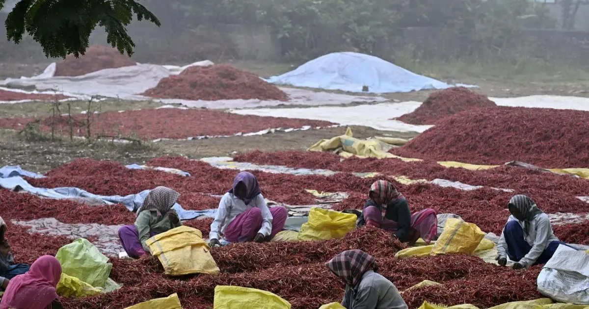 andamans-spice-pravah-revives-ancient-trade-legacy
