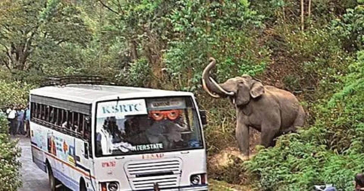 Kerala High Court Urged to Act on CAG’s Plan to End Deadly Human-Wildlife Clashes
