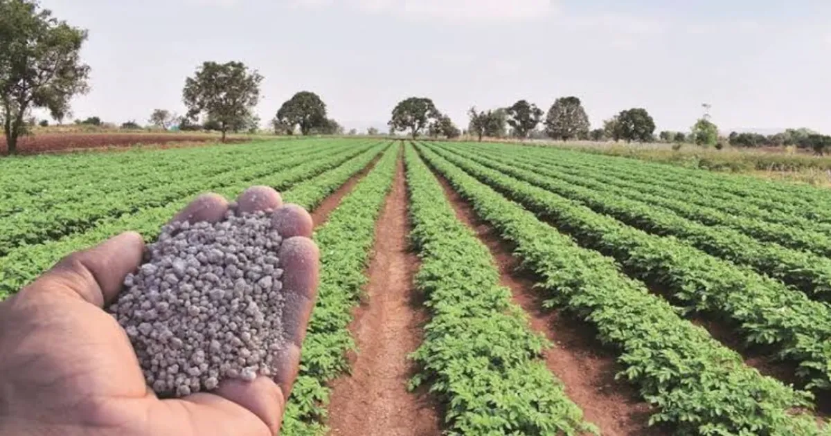 lt-and-itochus-300-ktpa-green-ammonia-project-to-rev