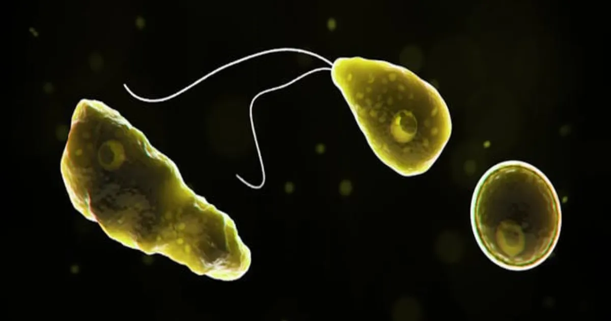 brain-eating-amoeba-found-in-queensland-tap-water-shoul