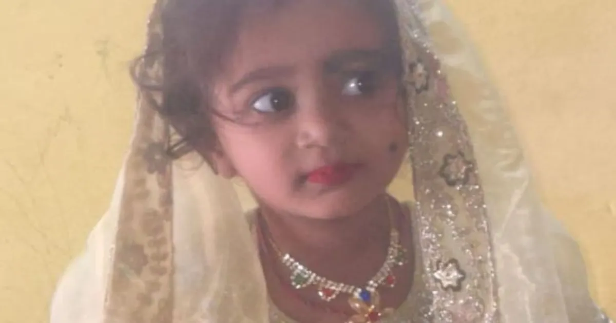 Tragic Death of 4-Year-Old Karnataka Girl Highlights Stray Dog Crisis