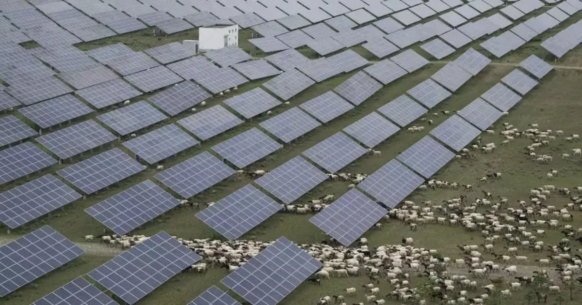 China Unveils World’s Largest Solar Farm to Slash Emissions