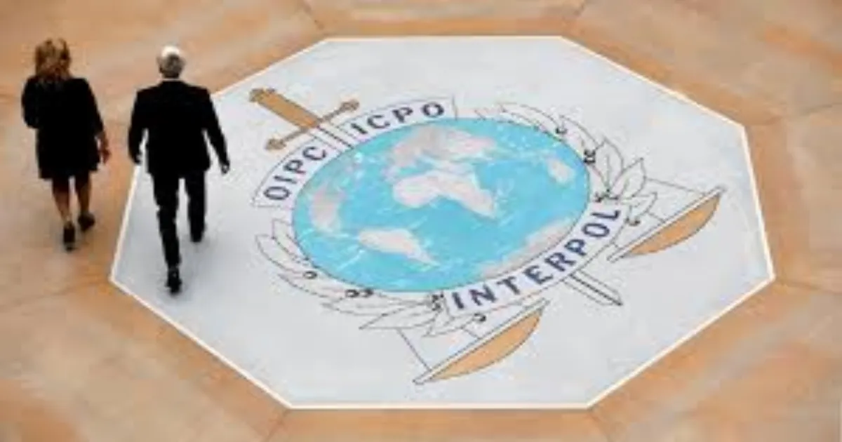 Interpol’s Operation Serengeti 2.0 Nets Over 1,200 Cybercriminals in Africa