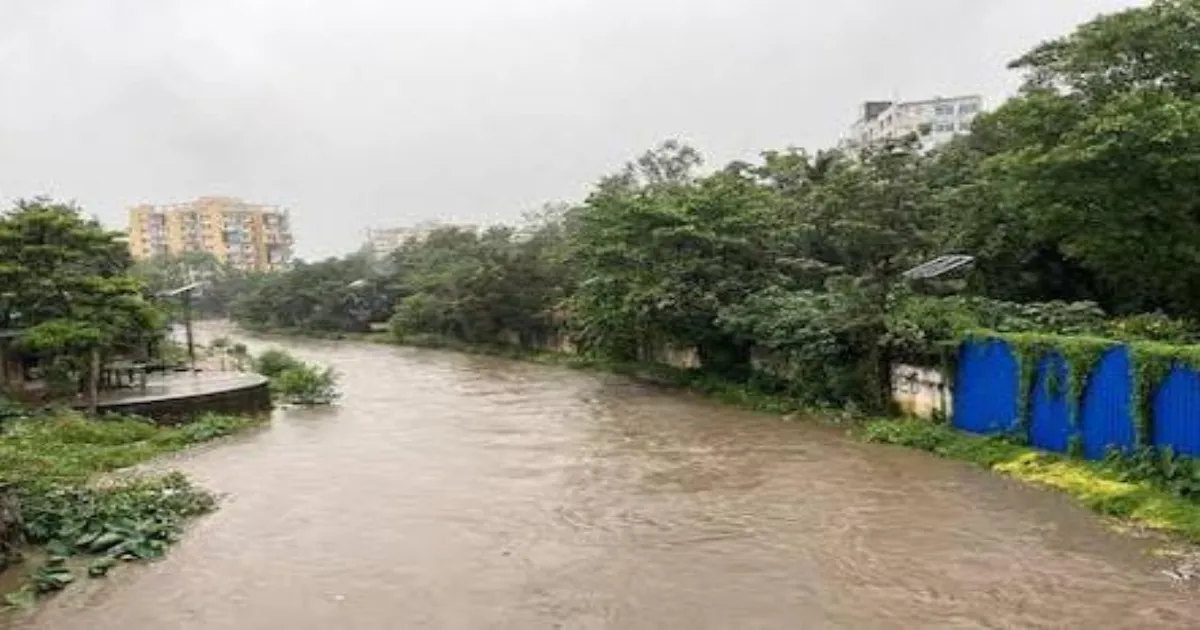 Jharkhand: Heavy Rains Claim 5 Lives and Flood Rivers