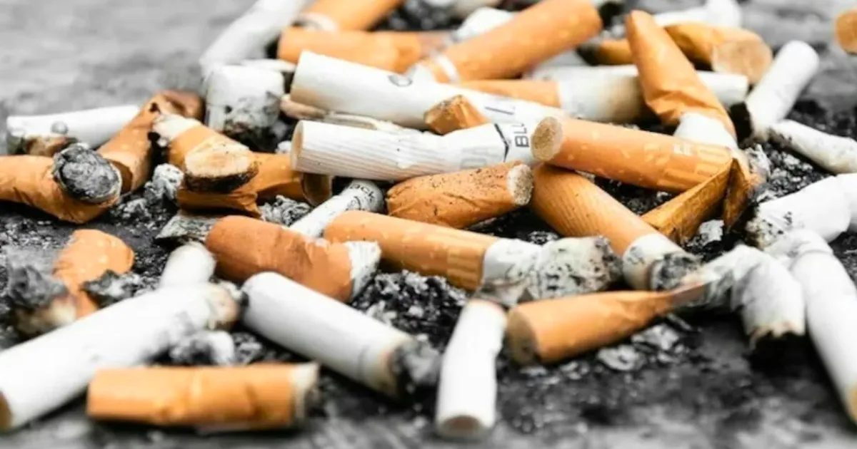 gst-bust-exposes-massive-tobacco-evasion