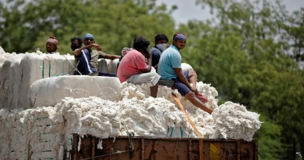 Centre Extends Duty-Free Cotton Imports Until December