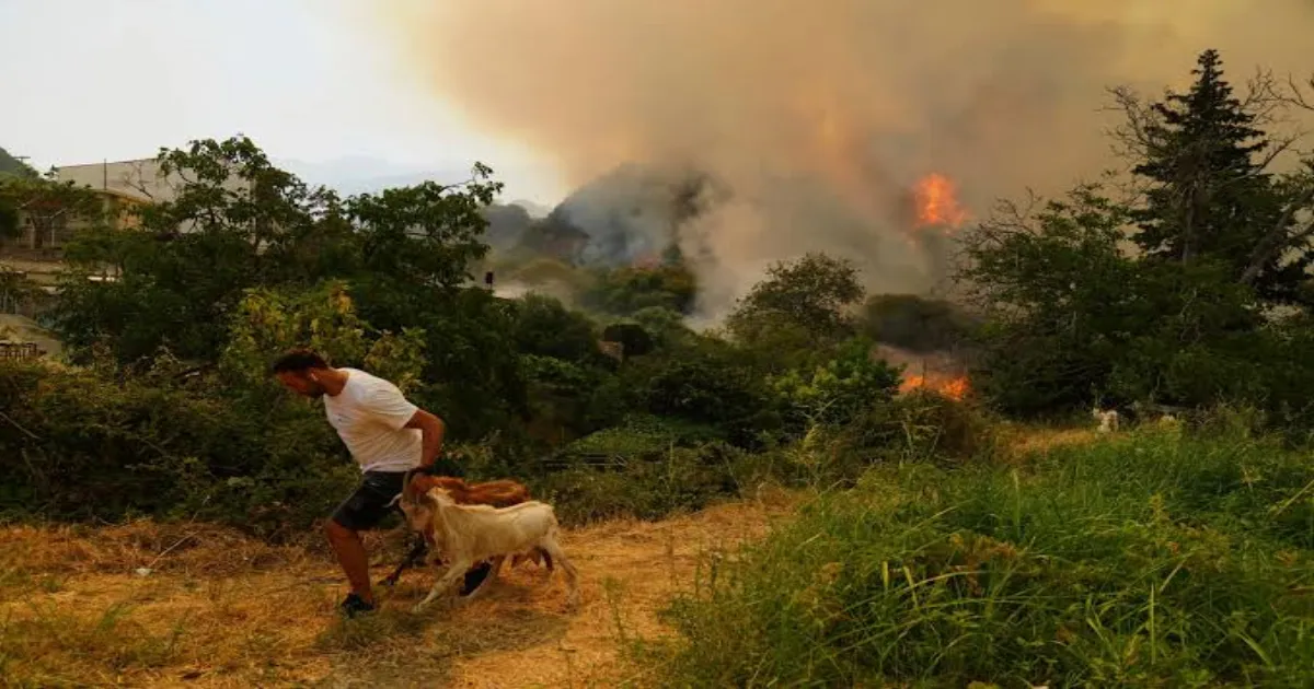 climate-change-made-wildfires-deadlier-than-ever