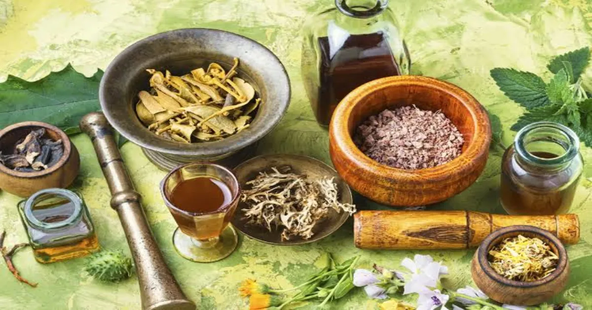Goa to Host 10th Ayurveda Day Focusing on Global Health and Sustainability