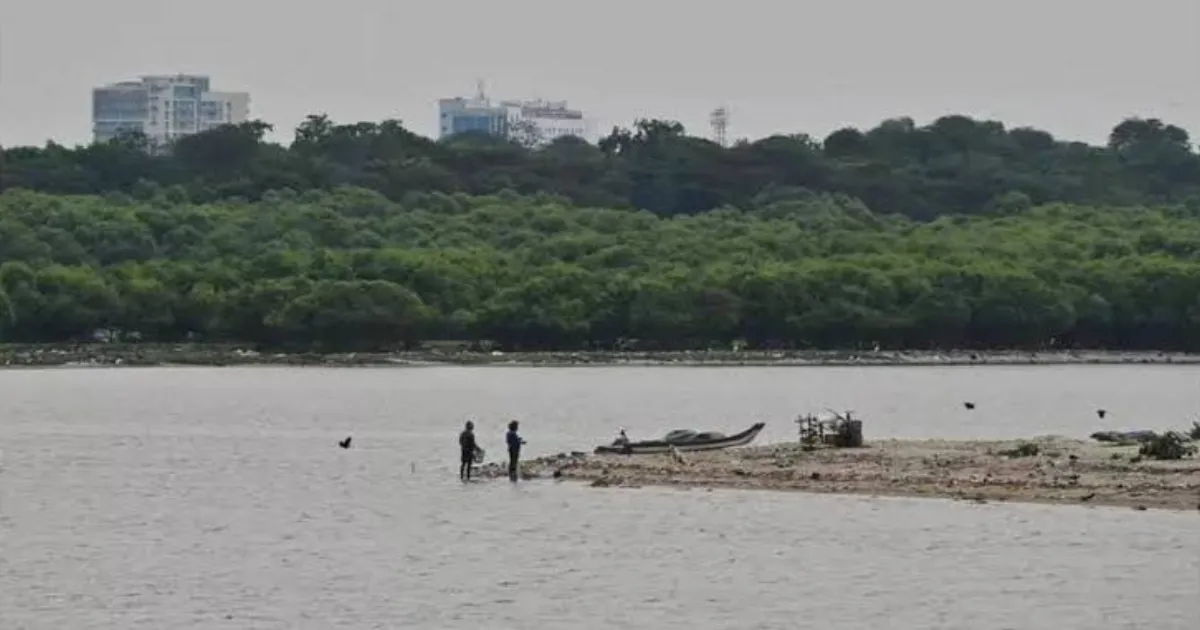 Tamil Nadu’s Mangrove Miracle: Coastal Cover Doubles in Just Three Years!