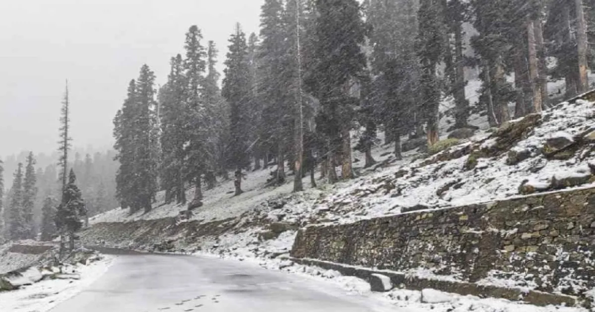 Tourists and Locals Marvel as Kashmir Wakes Up to Its First Blanket of Snow