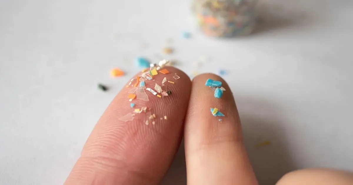 microplastics-may-be-damaging-your-gut-and-immune-syste
