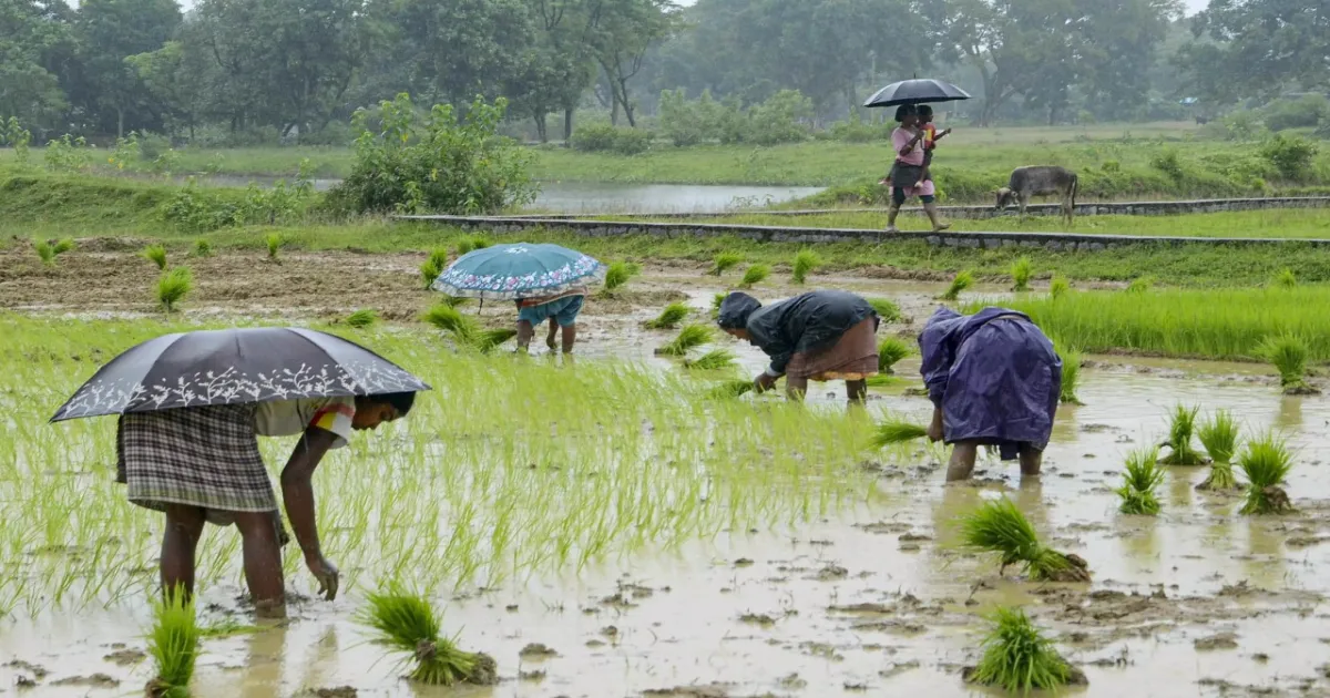 Maharashtra’s ₹3,258 Cr Flood Aid Called ‘Meagre’ by Opposition Amid Crop Devastation