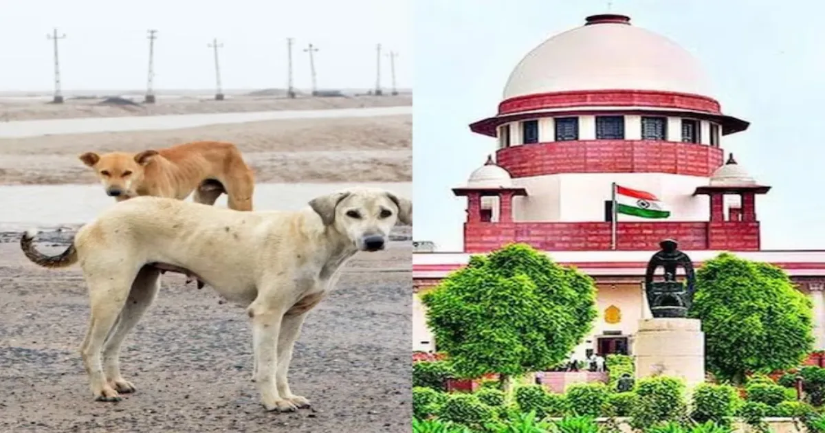 SC Rejects Virtual Appearance Request, Orders Chief Secretaries to Appear in Person in Stray Dogs Case