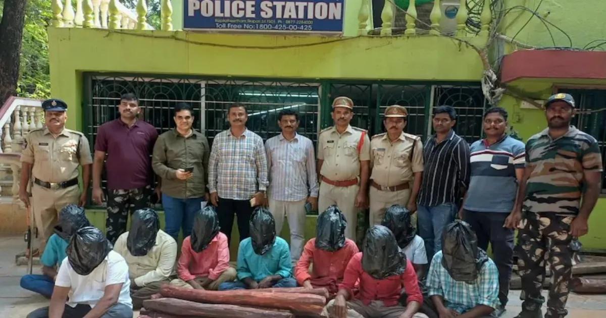 9 'Pushpa' Style Red Sanders Smugglers Arrested, 20 Logs Seized in Tirupati Forest Raid
