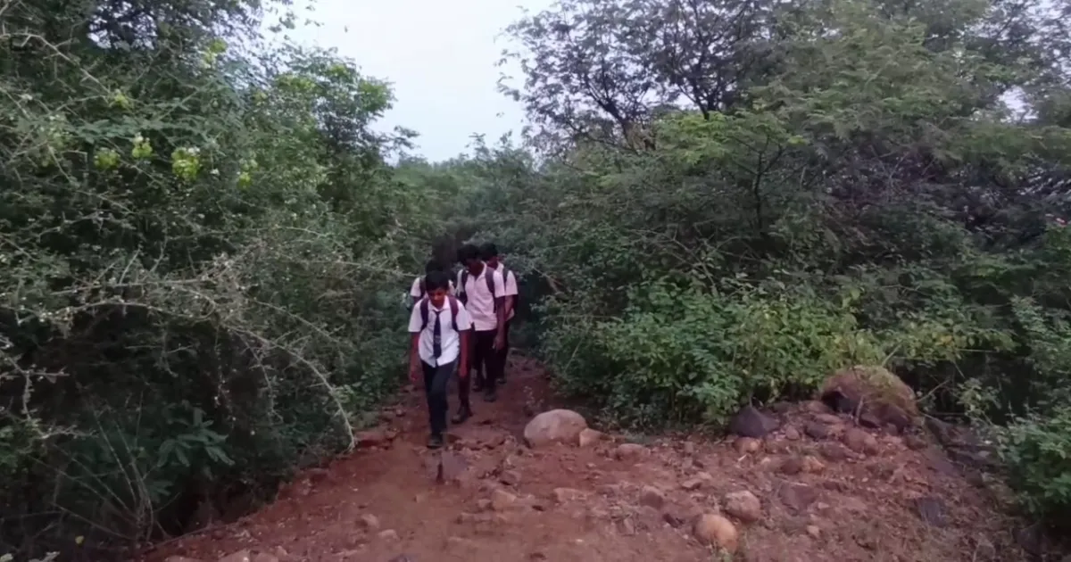 Karnataka Students Trek 7 km Through Tiger Forest Daily, Appeal to CM for Help